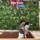 나래모텔 | 쌍둥이와 함께한 제주도 가족여행 4박5일 일정 1일차