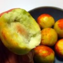 성안농장 이미지