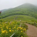 곰배령이야 이미지