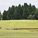 486 골프 이미지