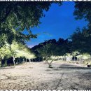 마이산 가자캠핑장 이미지