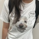 가현푸드 이미지