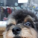 쭈스타일 이미지