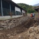 정란농장 이미지