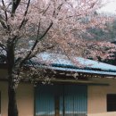 병산로 이미지