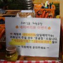 하례집 | 제주감귤체험 하례감귤농장 당도 높은 감귤 따기 체험