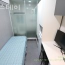 가지스테이 이미지