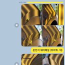 부산 영도 빅스타덴트 쏘렌토 mq4 부산덴트 잘하는곳