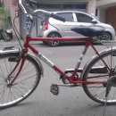 선경자전거 이미지