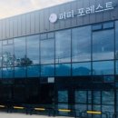 퍼피포레스트 이미지