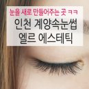 엘르에스테틱