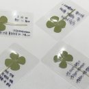 파파상사 | 러북레터 1기 후기