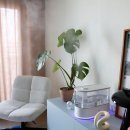 올케어 | 복합식 가습기 추천 아이닉 퓨어 올케어 iH05UV 사용 후기