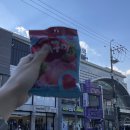 이찌돈 | [원평동맛집] 이찌돈 내돈내산 후기