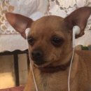 세븐일레븐 구미 상모행운점 | 또 호쿠오카 여행, 그런데 유후인을 곁들인 4박5일