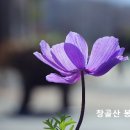 '음부(陰府)의 권세'란 무엇인가요? 이미지