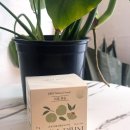 비움 | 비움매실 솔직 후기 똥매실로 속 시원