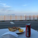 제주목화 이미지