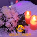 해피위드유결혼 이미지