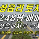 표선공인중개사사무소 이미지