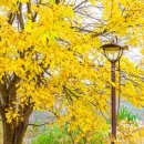 든든 한의원 이미지