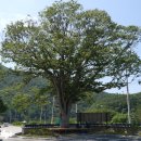 호롱불마을 이미지