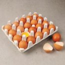 일품명가 이미지