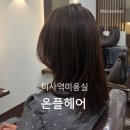 뿌리네 애견샵 | 미사역 미용실 온플헤어, 1인샵 비건염색 후기