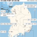 진흥카 국민일보