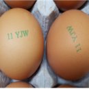 주현농장 이미지