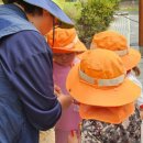 원천초병설유치원 이미지