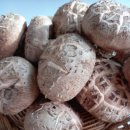 상촌농장 이미지