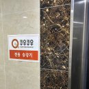 5717 | 청라 쿠우쿠우 주말 가족모임 후기｜초밥뷔페 가격·메뉴 정보