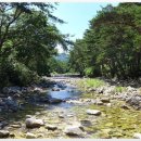 계곡농협주유소 이미지