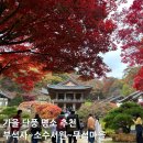 사과나무관광호텔 | [가을 단풍여행] 부석사, 소수서원, 무섬마을 일정 추천