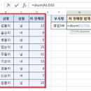 [엑셀] dsum 함수 이미지