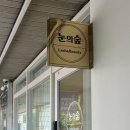 눈의숲