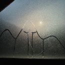 사진 속 이야기 2129 이미지