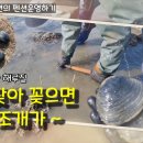 안면도덤앤더머