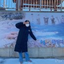 바다다방 | 울진 어디까지 가봤니? 2탄😛 [마일스톤 죽변점, 회&amp;대게&amp;조개파는 총각]