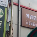 나무를품다
