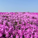 안산마디튼튼의원 이미지