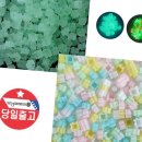 빨간오리