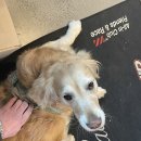 루이네워시존 이미지