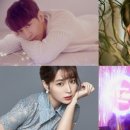 세빌리아미용실 이미지