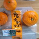 규리농장 네이버블로그