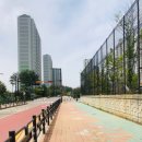 상신초등학교 정문 이미지