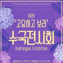 수국이 가득한 여름정원, 2025 아침고요수목원 수국전시회 후기🌸