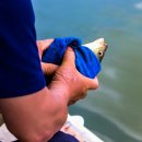 신촌낚시터 화장실 이미지