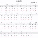 교 대 이미지
